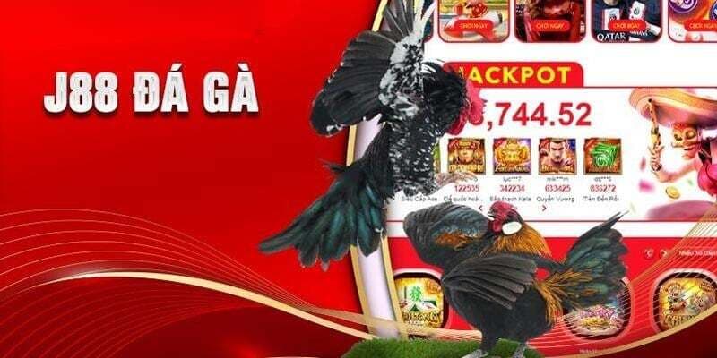 Đá gà J88 chân thực không thua gì sòng bài thực tế