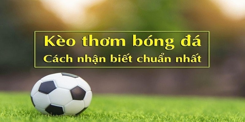 Tìm hiểu tại sao nên nắm vững mẹo soi kèo bóng đá